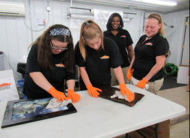 PCHS work program introduces students to different jobs